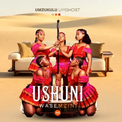 Shuni WaseMzini – Stufuza ft. Mjolisi